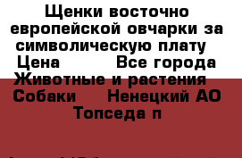 Щенки восточно европейской овчарки за символическую плату › Цена ­ 250 - Все города Животные и растения » Собаки   . Ненецкий АО,Топседа п.